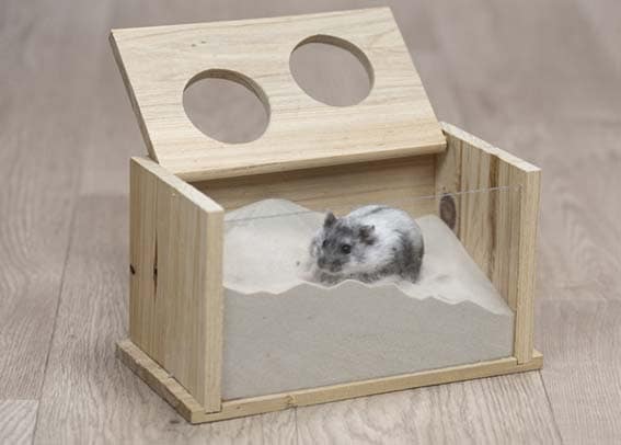 Grävlåda för smågnagare 20x12x12cm - 2