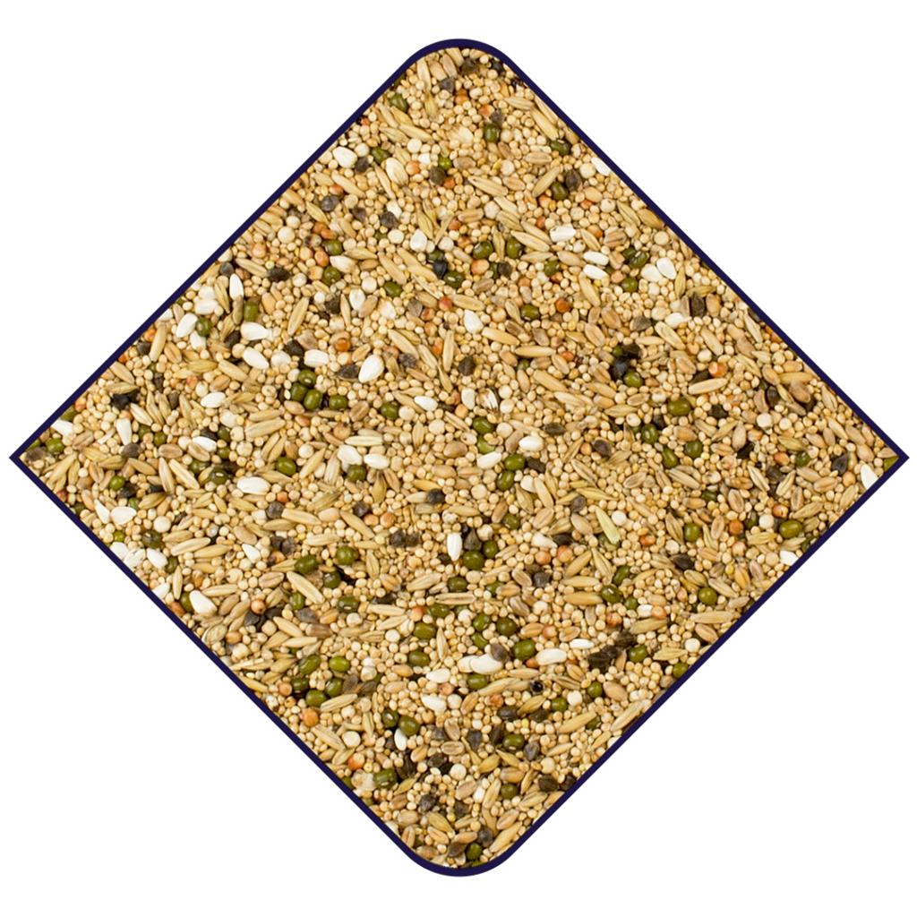 Witte Molen Expert Groddblandning(fin) 1kg (312)