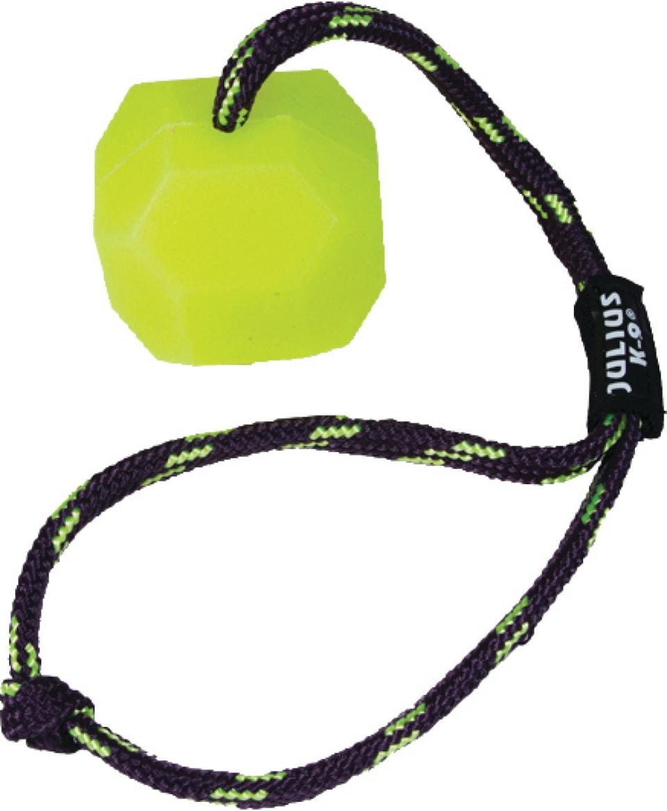 K9 Siliconboll/Kub 6cm