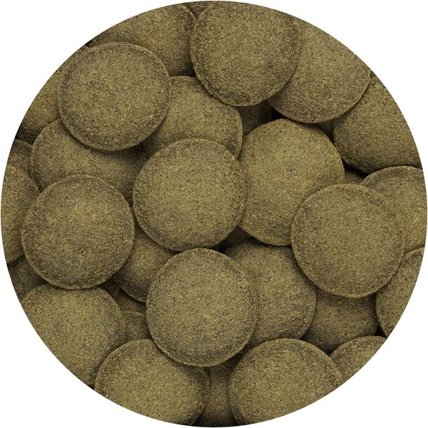 Hikari Algae wafers 20g - 2