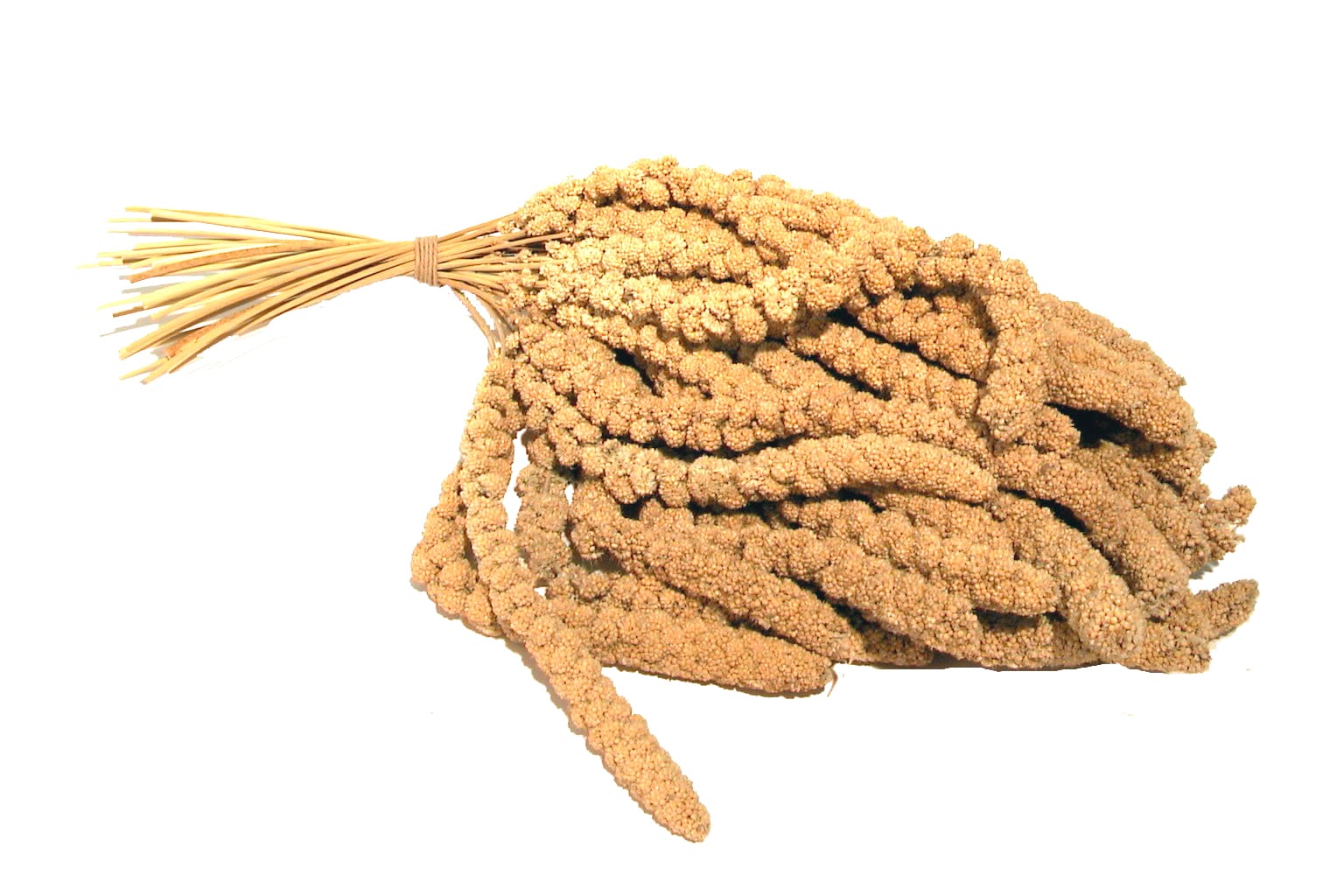 Hirskolvar gula lösvikt /kg