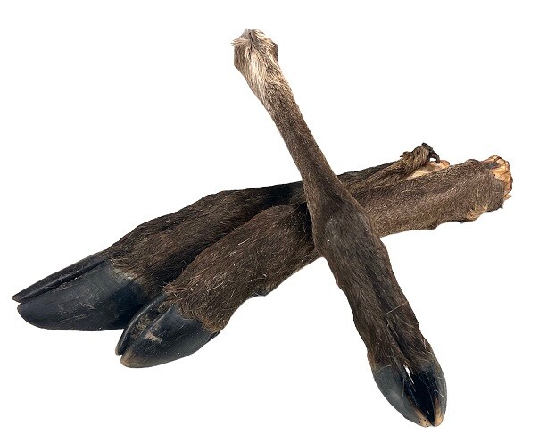 Emmzo Torkat Hjortben med klöv och päls 35-45cm (svensk)