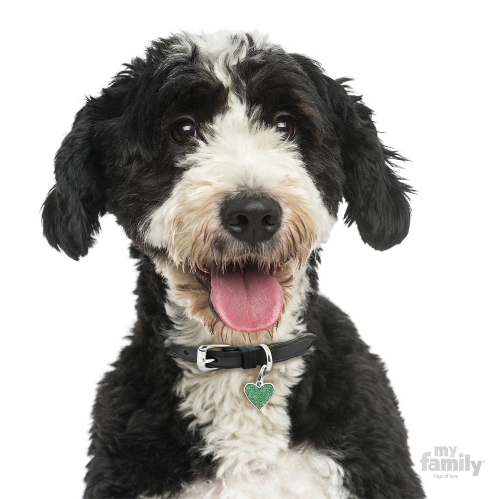 ID-bricka Shine Hjärta Grön Liten - 2