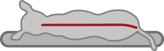 Samoa vital bädd svart/grå 65x50cm - 2