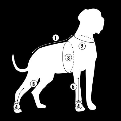 Hurtta Y-sele Kantarell 110cm - 2