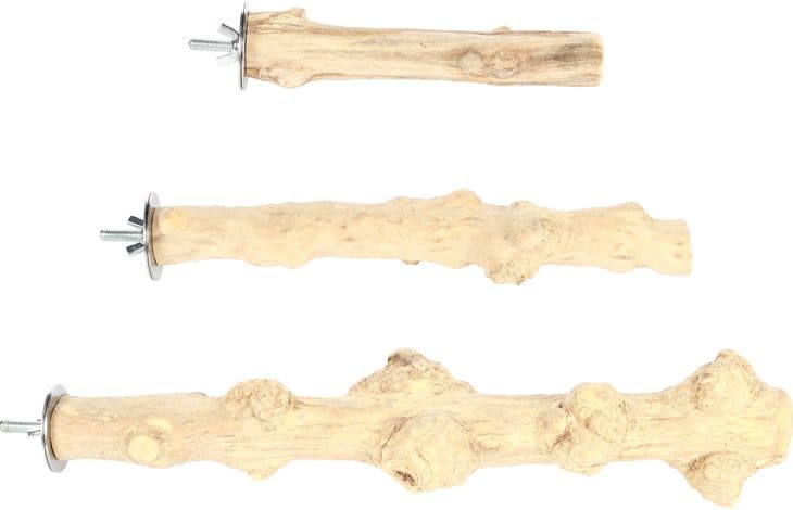 Sittpinne Coffe tree Small 2-3cm/20cm - 2