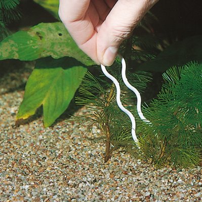 JBL Plantis 12-p - 2