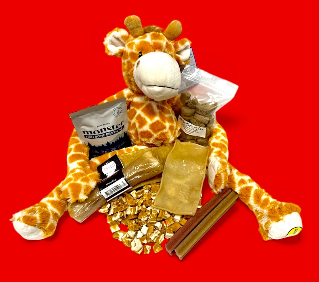 Julpåse Hund Medium/Large - 2