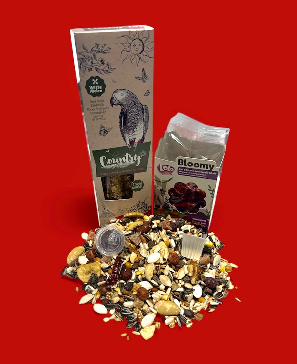 Julpåse Papegoja - 2