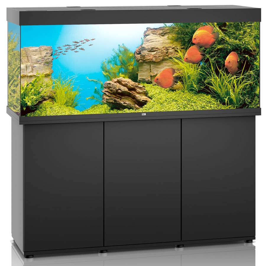 Juwel Rio 450 LED inkl. SBX-bänk Svart