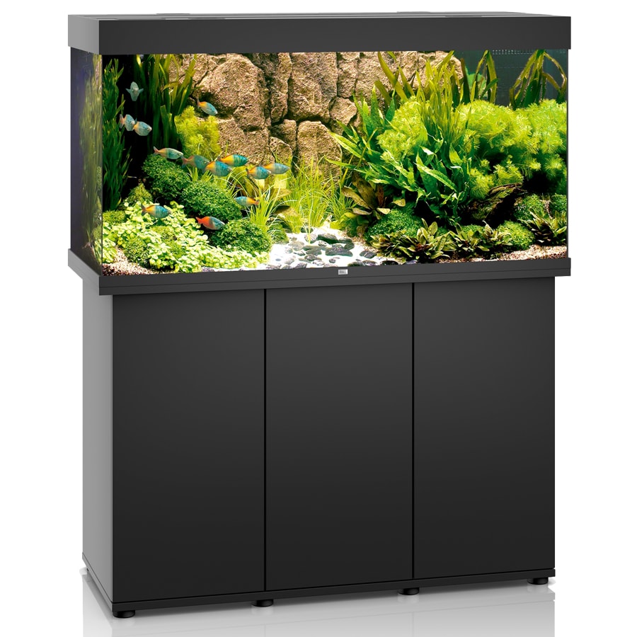 Juwel Rio 350 inkl. SBX-bänk och LED-belysning Svart