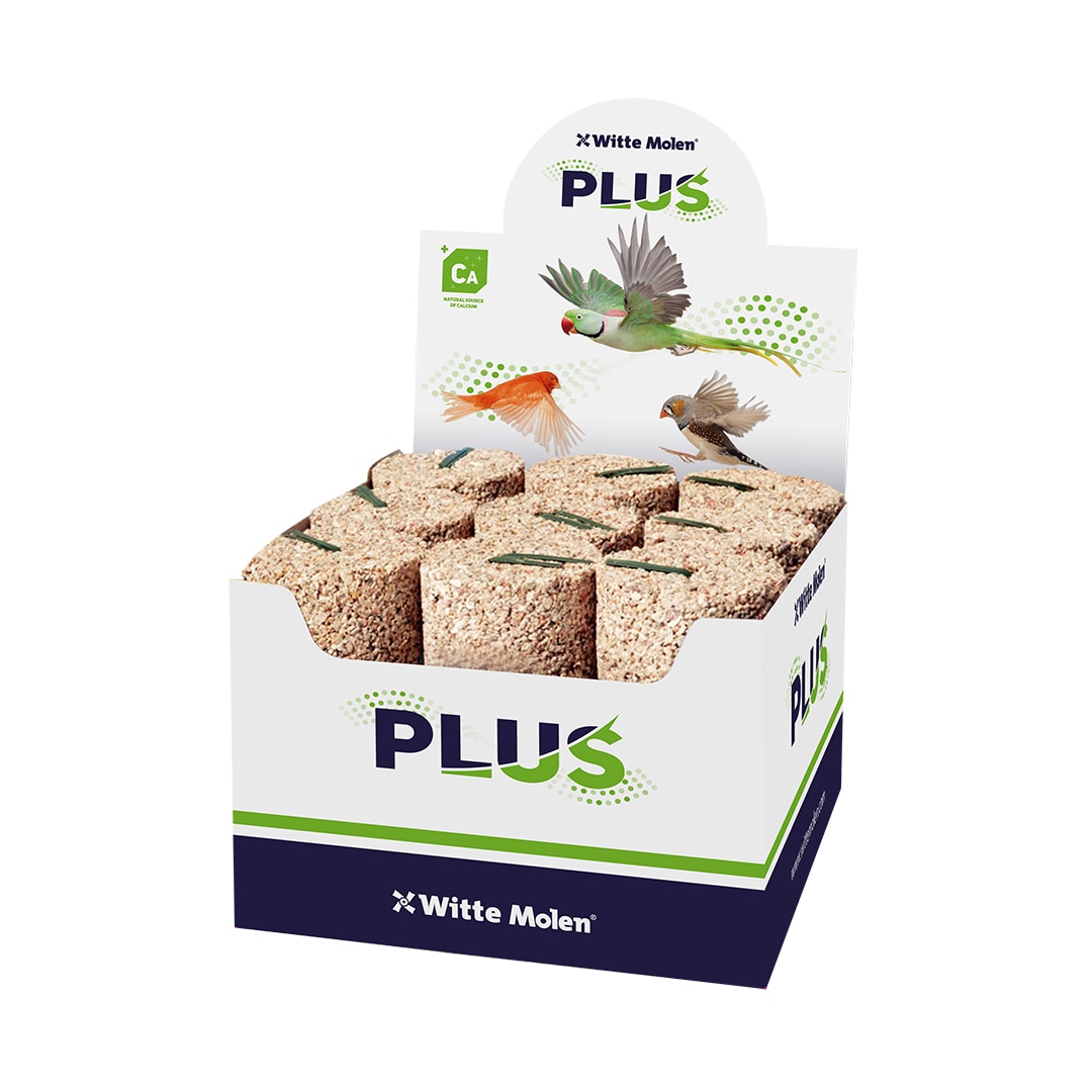 Witte Molen Mineralblock 5x5cm