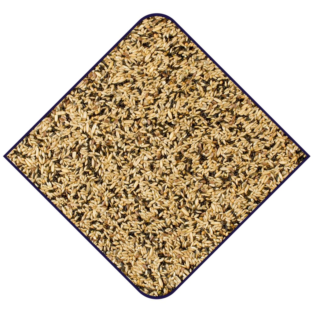 Witte Molen Expert Kanarieblandning 1kg ()