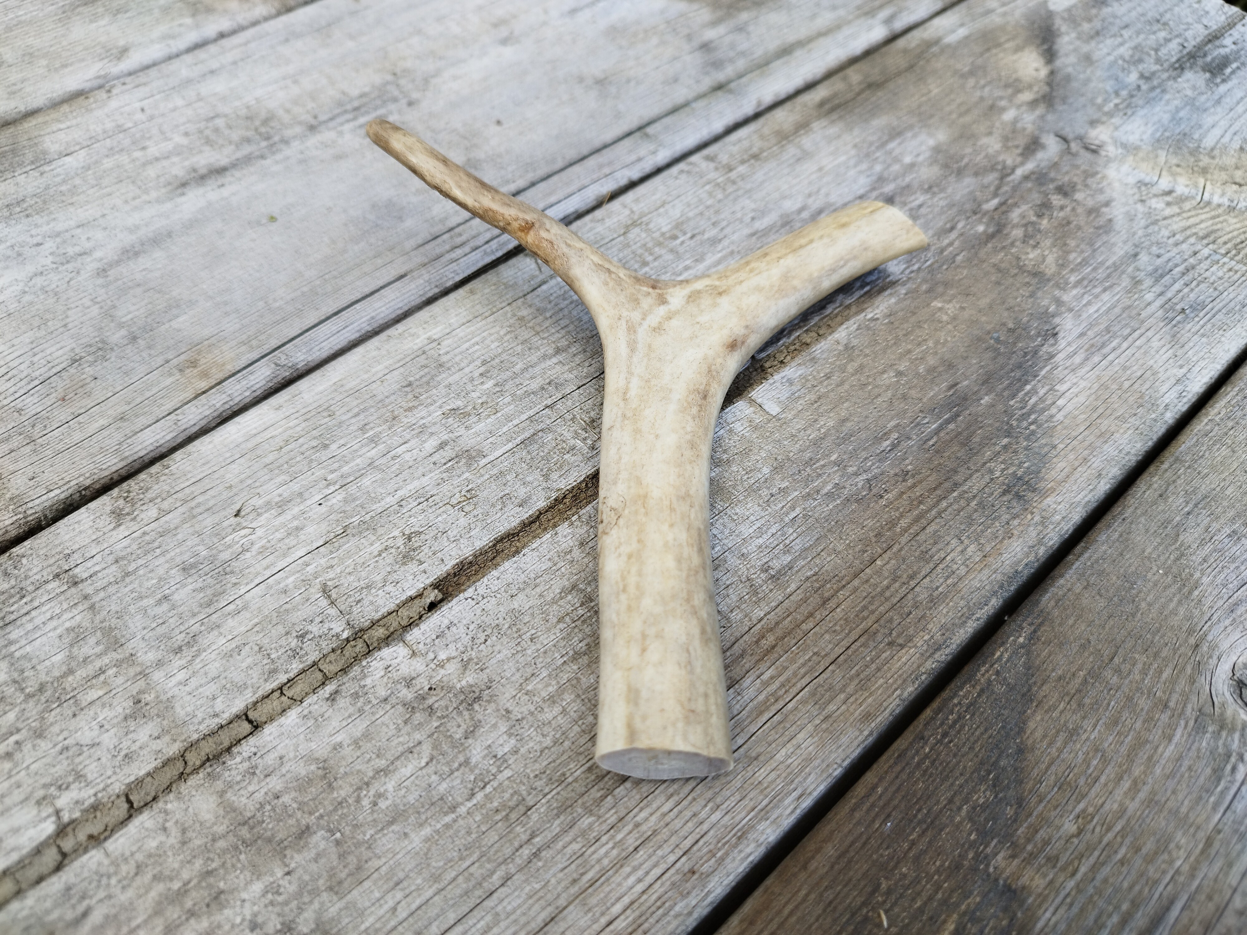 Kero Renhorn small ca 10-20cm 30-80g svensk