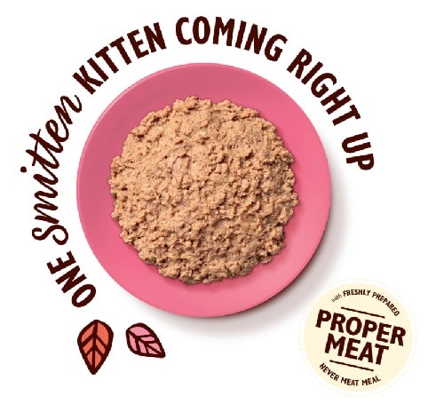 Lily´s Kitten Smooth Chicken Paté 85g - 2