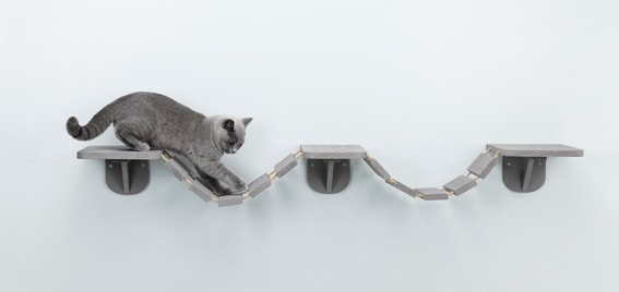 klättervägg till katt