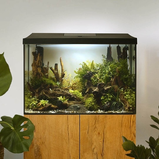 Aquael Akvarium 72 Liter Day&Night - 2