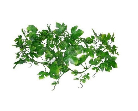 LR Plastväxt Grape Vine 2 meter