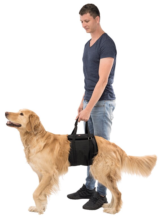 Lyfthjälp, flera storlekar - 2