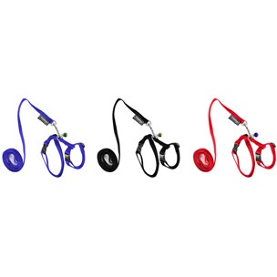 Sele till marsvin med koppel - 2