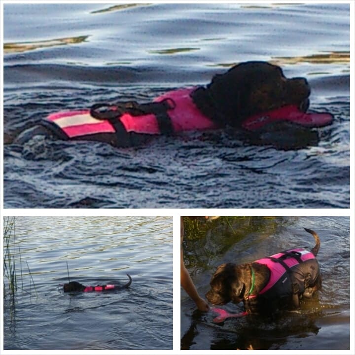 Flytväst Baltic Mascot grön - 2