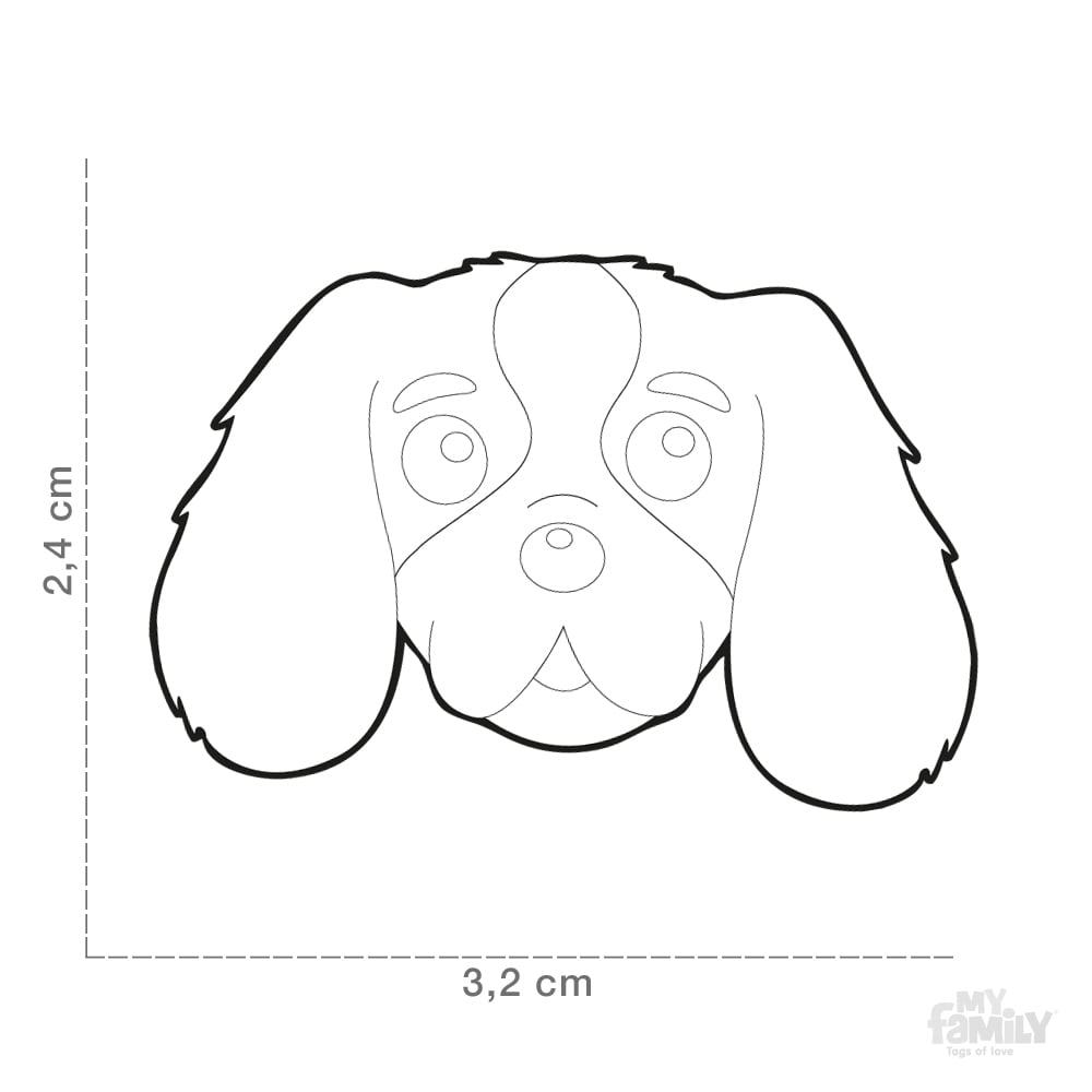 ID-bricka Cavalier Svart/Röd - 2