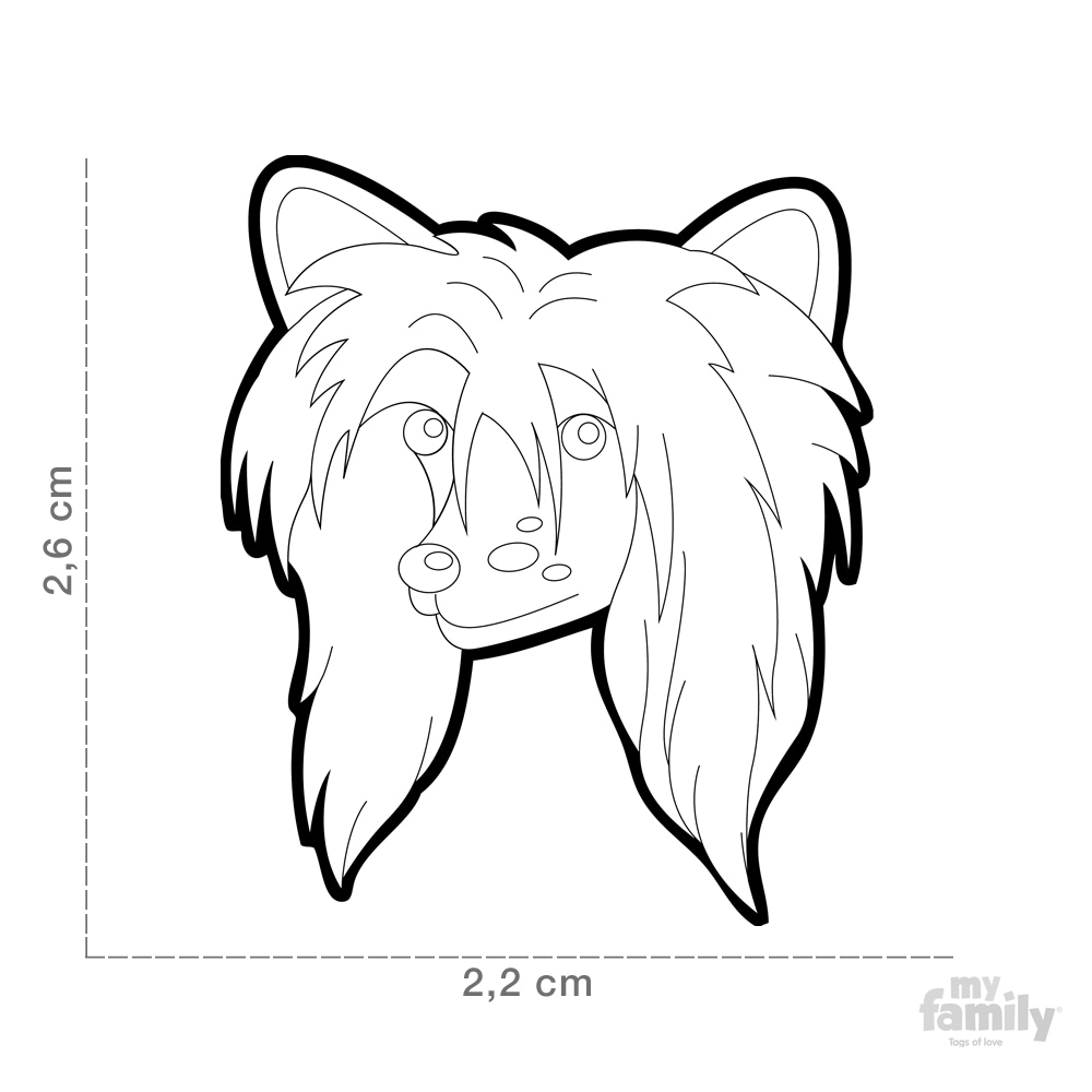 ID-bricka Kinesisk Nakenhund - 2