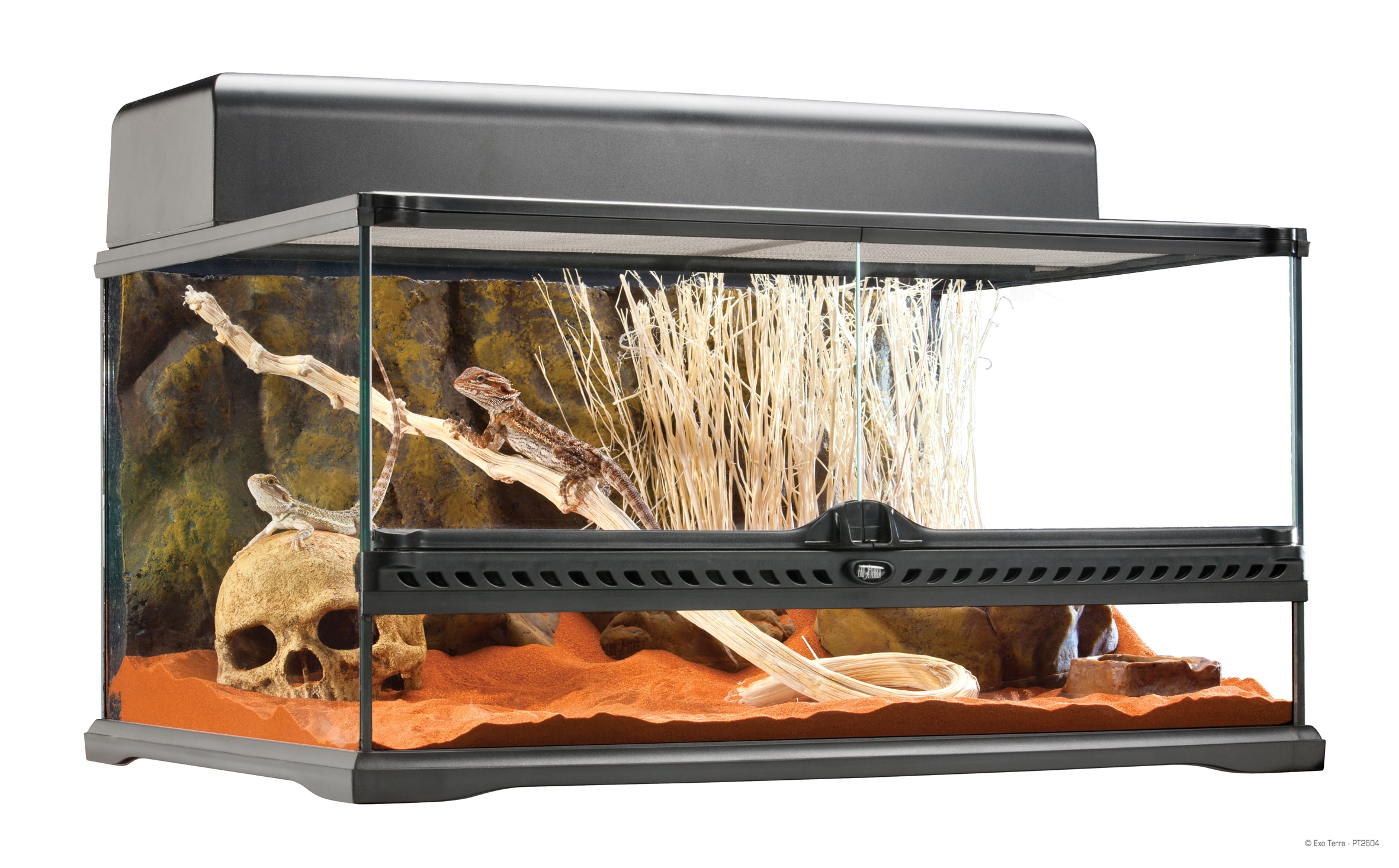 Terrarium ExoTerra 60x45x30cm - 2