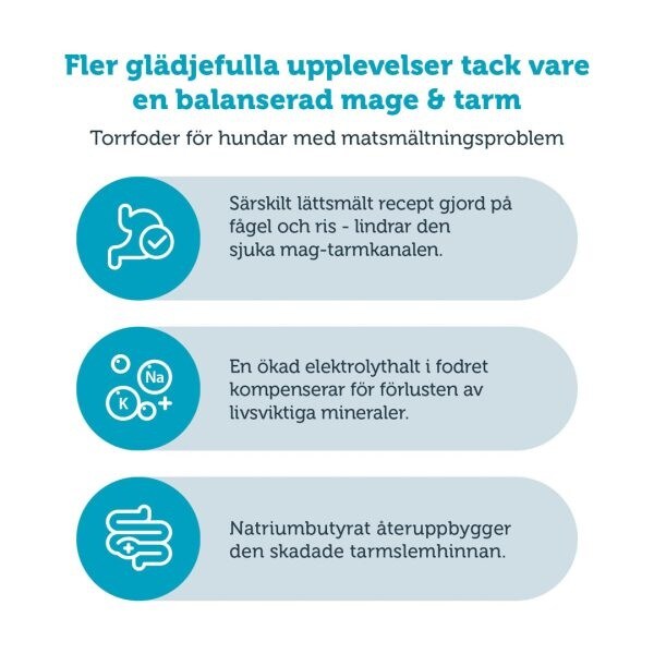 Mera Vital Dog Gastro Intestinal 10kg