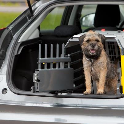 MimSafe Variocage Compact Singel L, med tröskel - 2