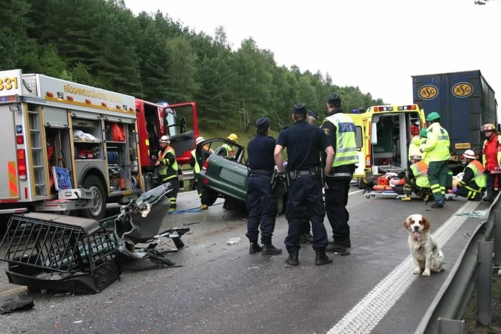 Mimsafe Variocage Dubbel Large - 2