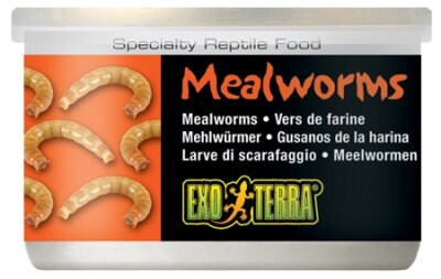 Konserverade mjölmaskar 34g