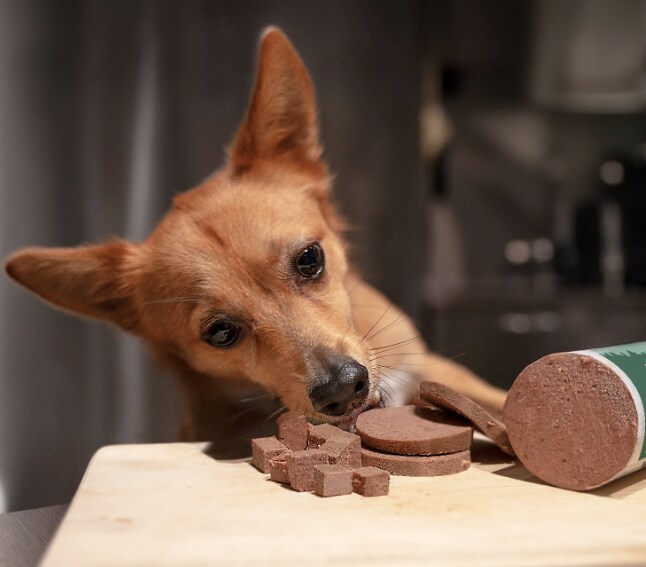 Monster Dog Sausage Rabbit 80g - 2