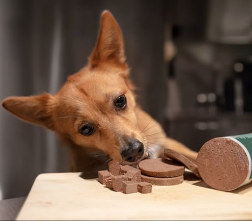 Monster Dog Sausage Wild Boar 400g - 2