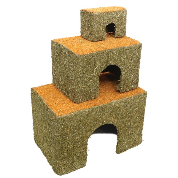 Morotshus hamster - 2