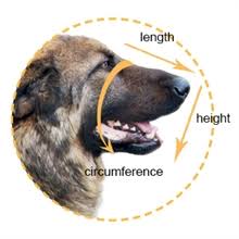 Munkorg K9 S 15,5x5,5x6cm - 2