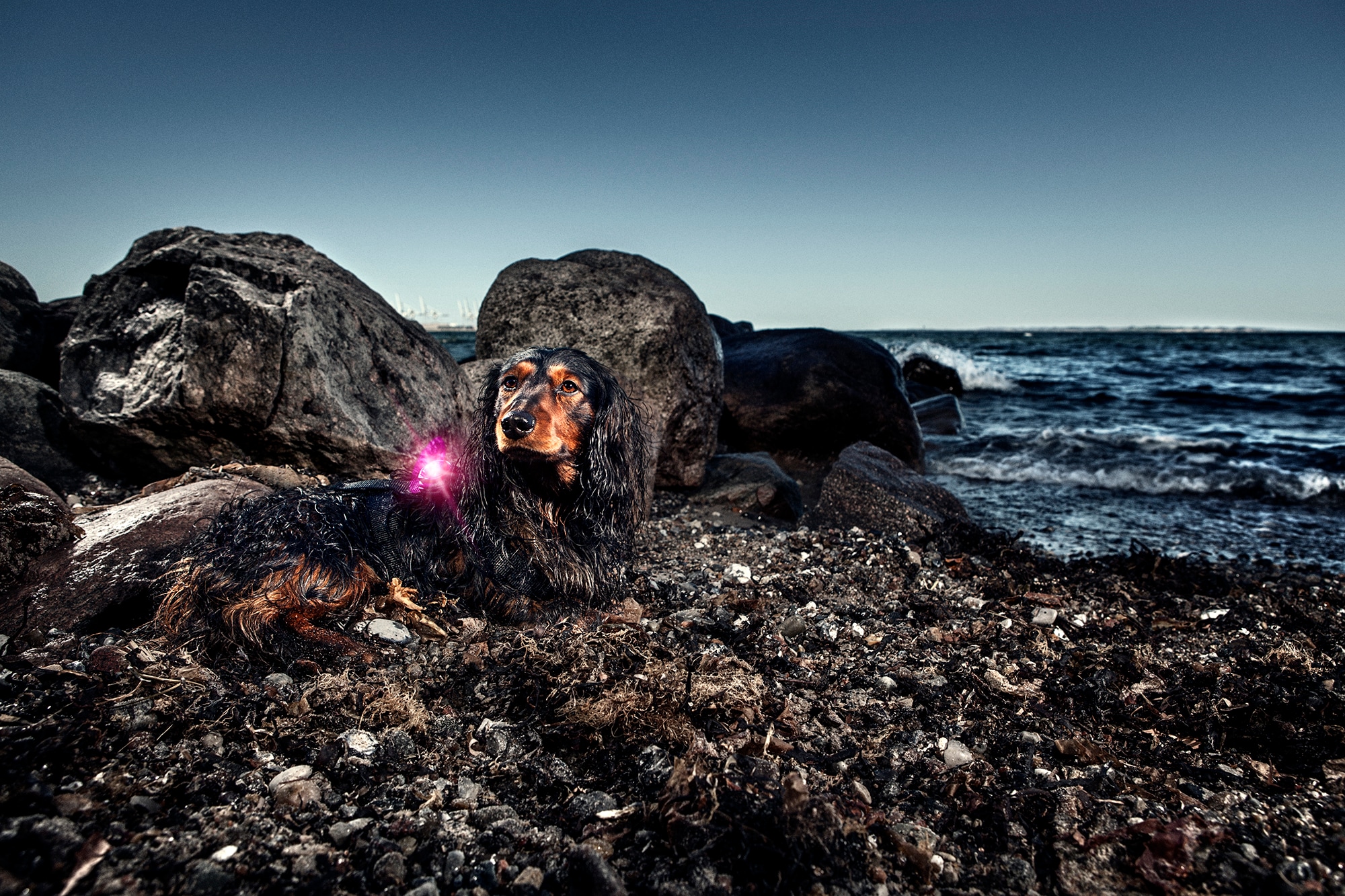 Orbiloc Lila Dual - 2