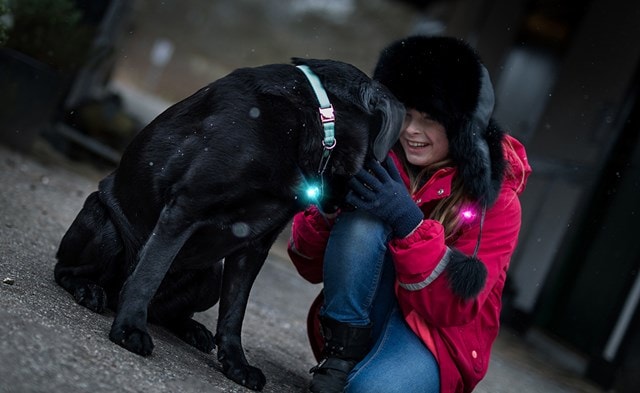 Orbiloc Turkos Dual - 2