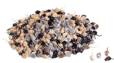 Pälsmöss kattmyntafyllda mixade 5cm - 2