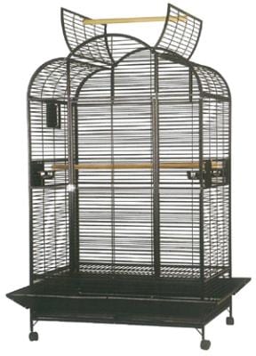 Papegojbur Ambassador 110x80x187cm