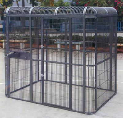 Papegojbur President 219x158x201cm