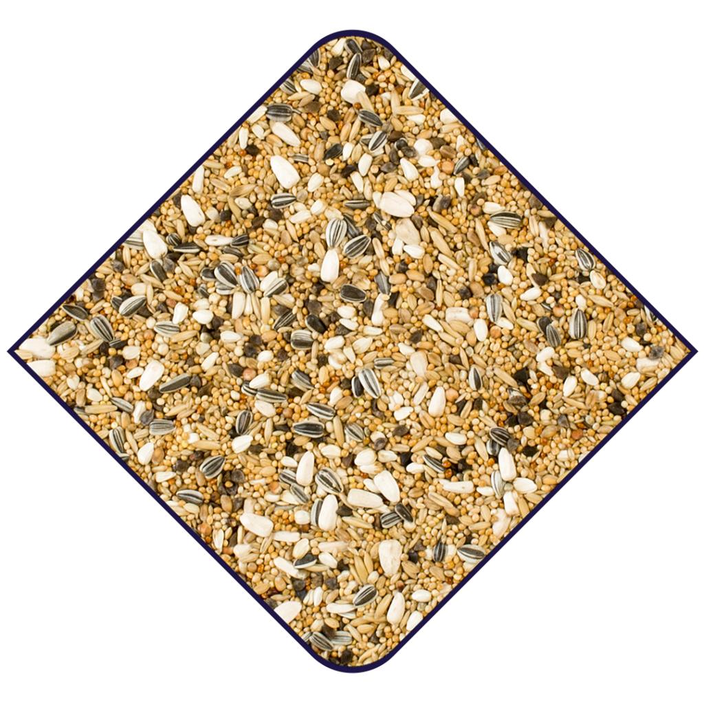 Witte Molen Expert Parakitblandning med solrosfrö 1kg (060)