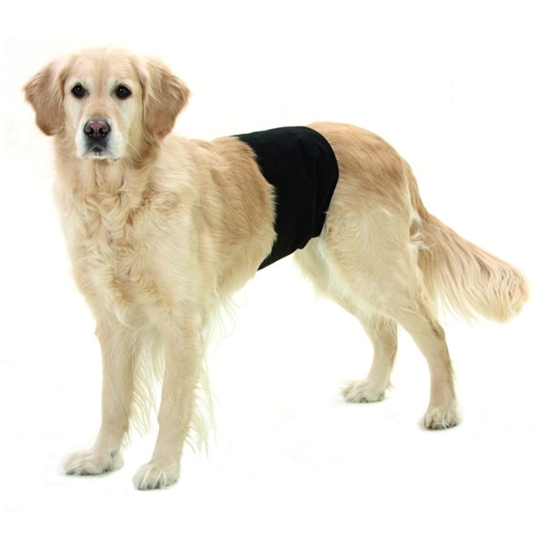 Pinkskydd för hanhundar