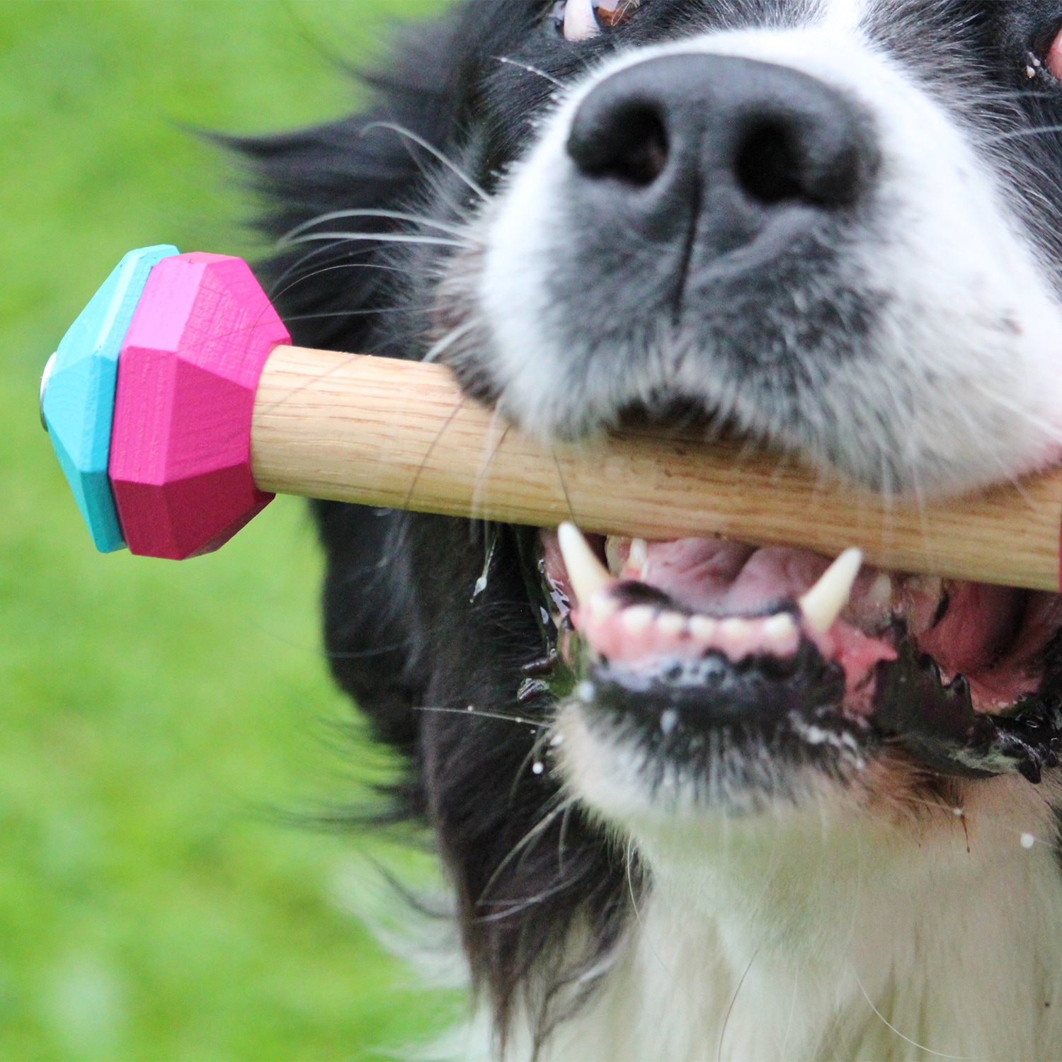 Rallyapport Blå/Gul - Flera Storlekar - 2