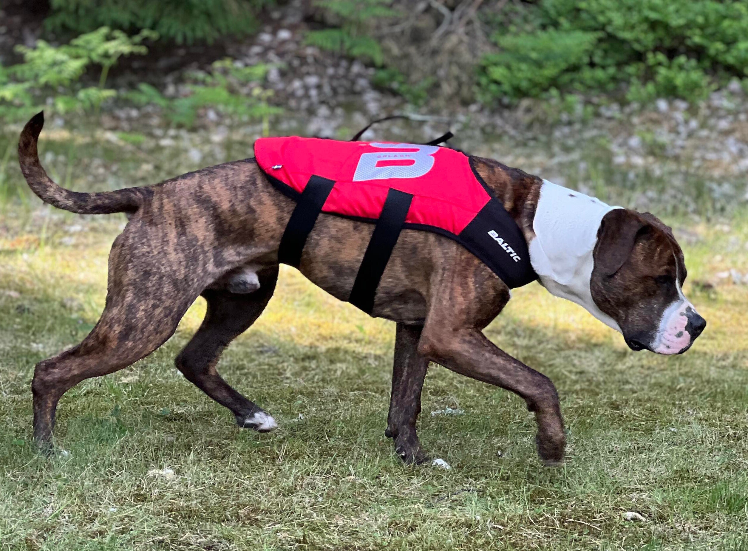 Flytväst Baltic Splash Röd, flera storlekar - 2