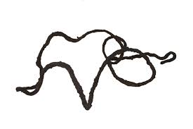 Reptil Vine medium 10mm/1,8m - 2