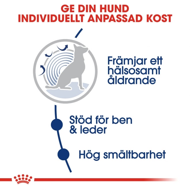 royal-canin-maxi-ageing-8-85