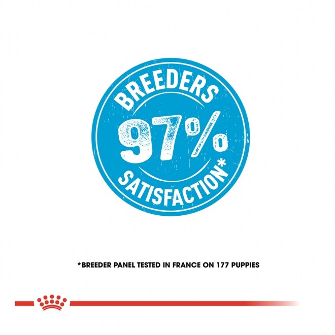 royal-canin-maxi-starter-mother-babydog-aa