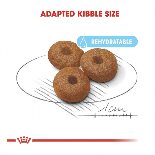 royal-canin-maxi-starter-mother-babydog-e0