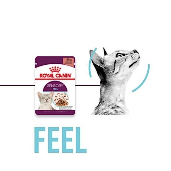 Royal Canin Våtfoder Sensory Feel 85g - 2